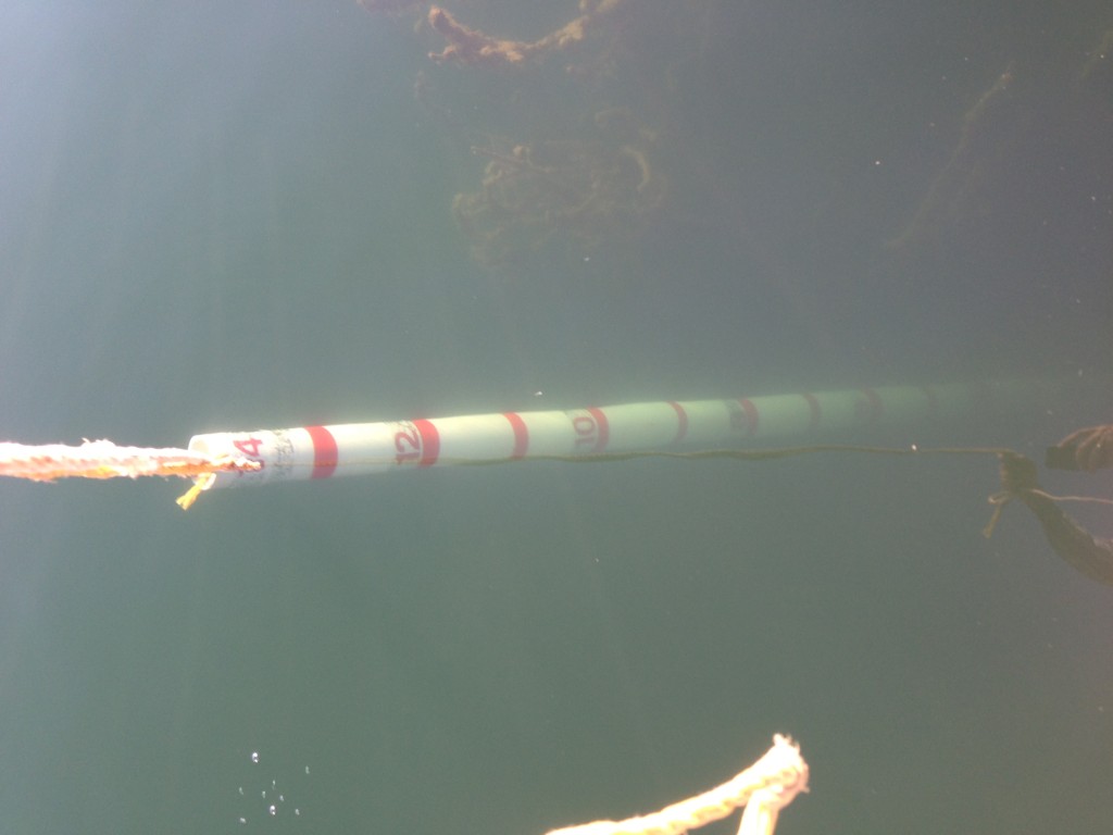 Other side of dock the depth gauge shows 14 feet of clear water