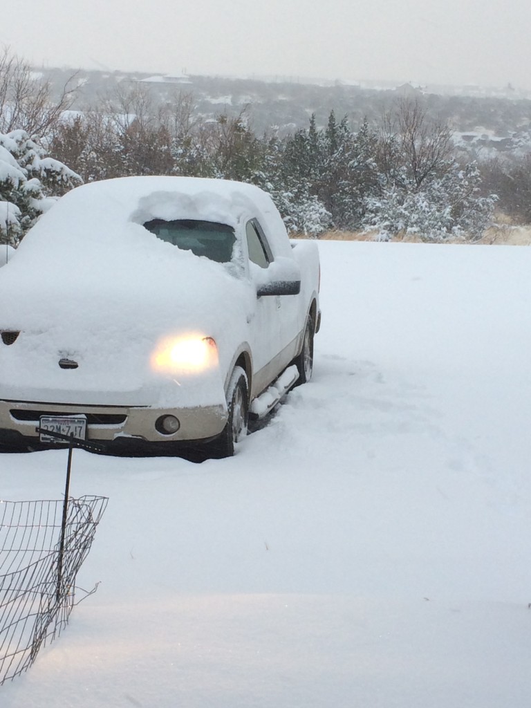 Snow 2-2-2014, First of the year !