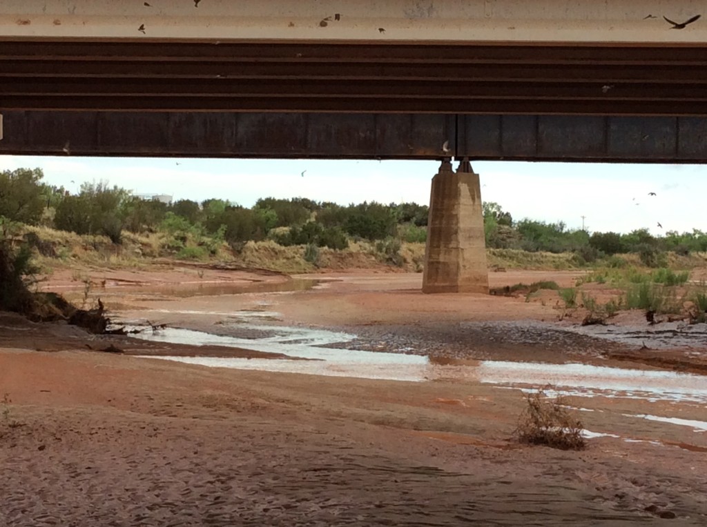 Stream is 1.5 fps @ Hwy 84/Bridge 5-25-14.